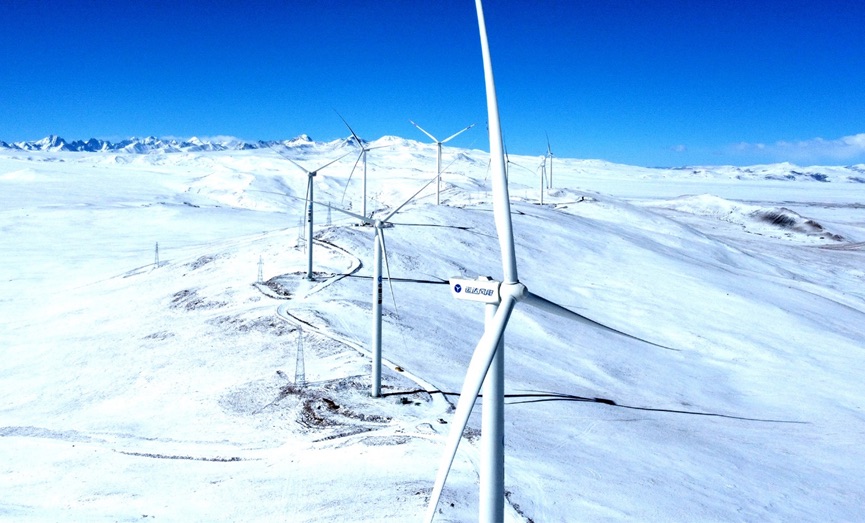 抖圈-为du而生官网入口