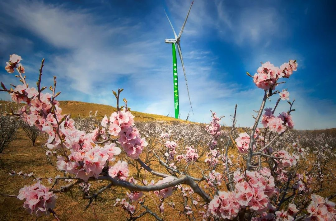 抖圈-为du而生官网入口