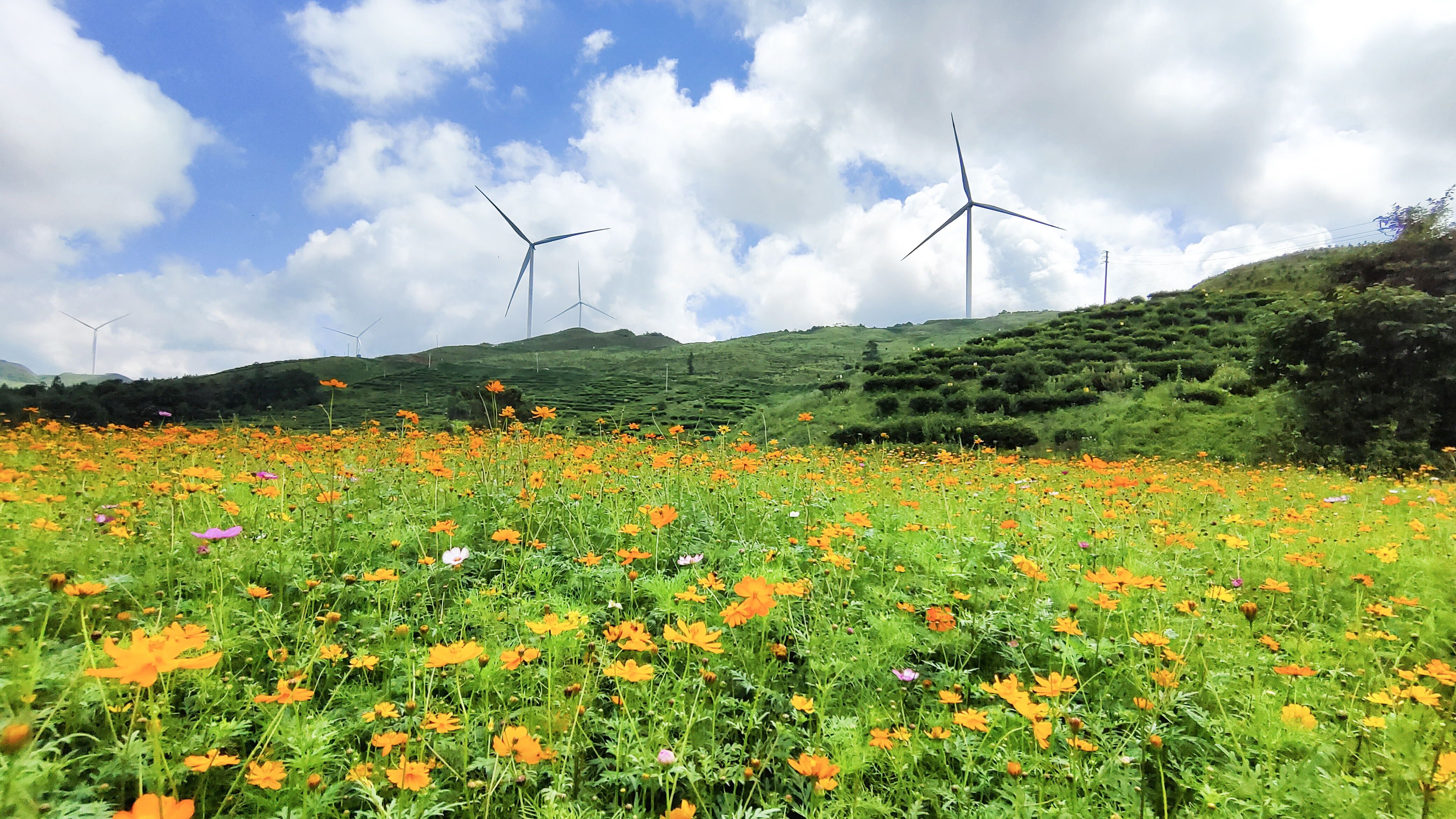 抖圈-为du而生官网入口