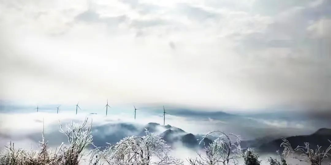 抖圈-为du而生官网入口