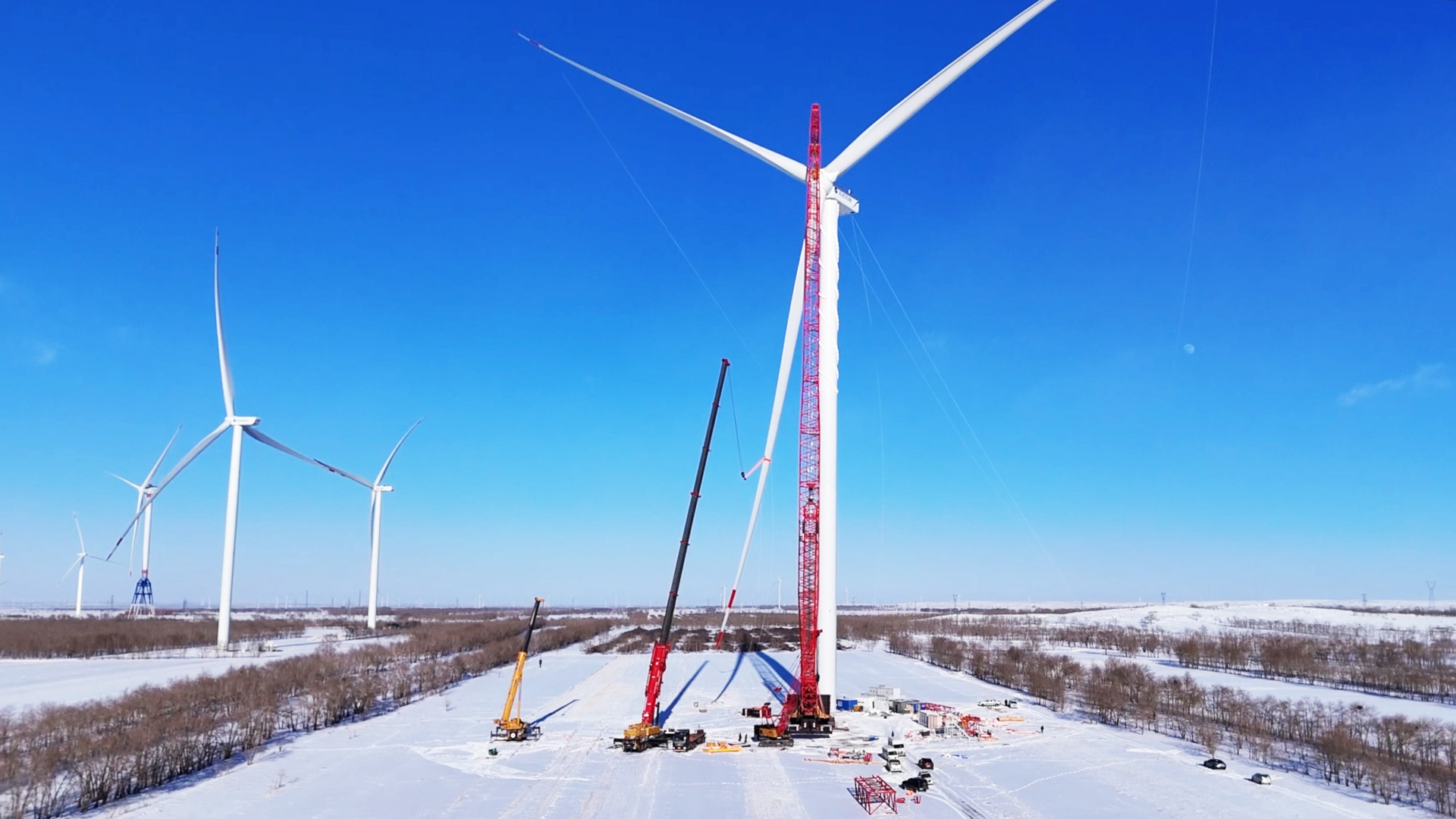 抖圈-为du而生官网入口